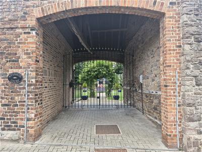 Picture 25